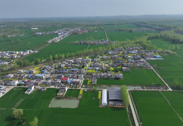 《中安在线》4月10日报道：埇桥区：路畅花香墙如画 南秦村里说变化